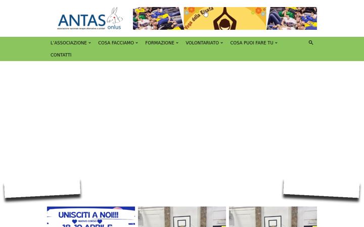 Screenshot of antasonlus.org