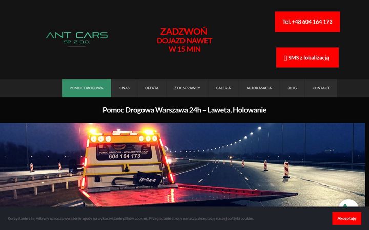 Screenshot of antcars.pl