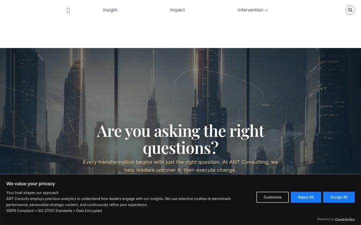 Screenshot of antconsults.com