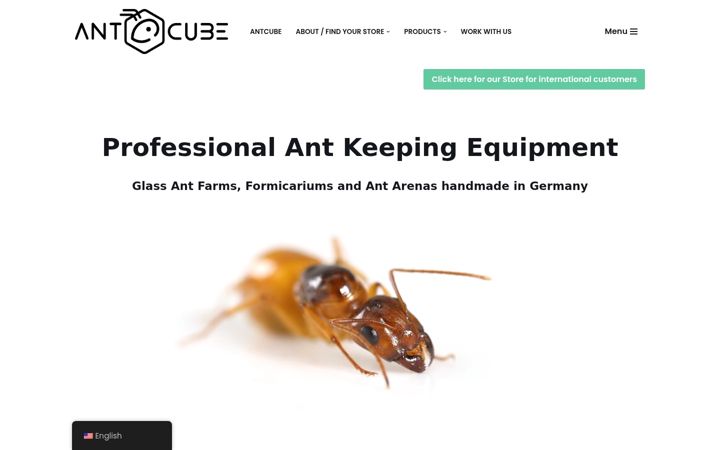Screenshot of antcube.de