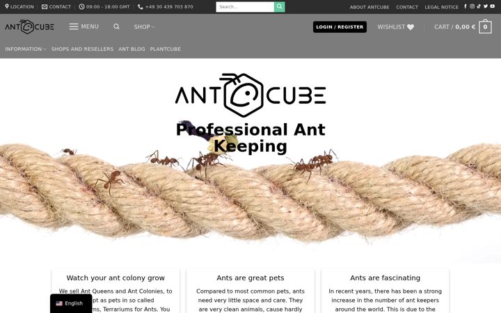 Screenshot von antcube.shop