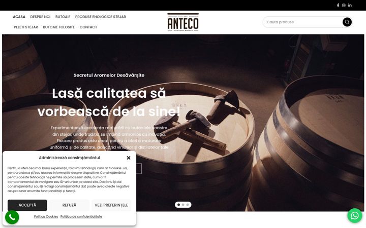 Skjámynd af anteco-brun.ro