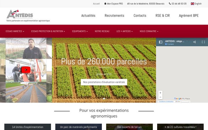 Screenshot of antedis.com