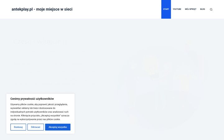 Skjámynd af antekplay.pl