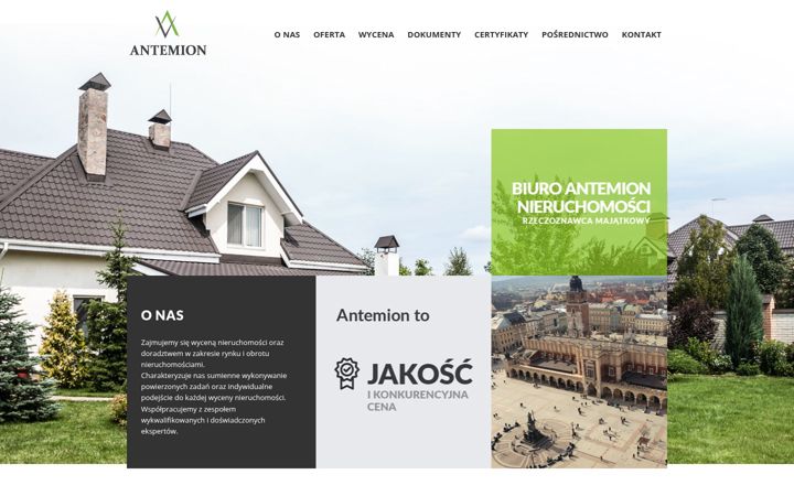 Screenshot of antemion.pl