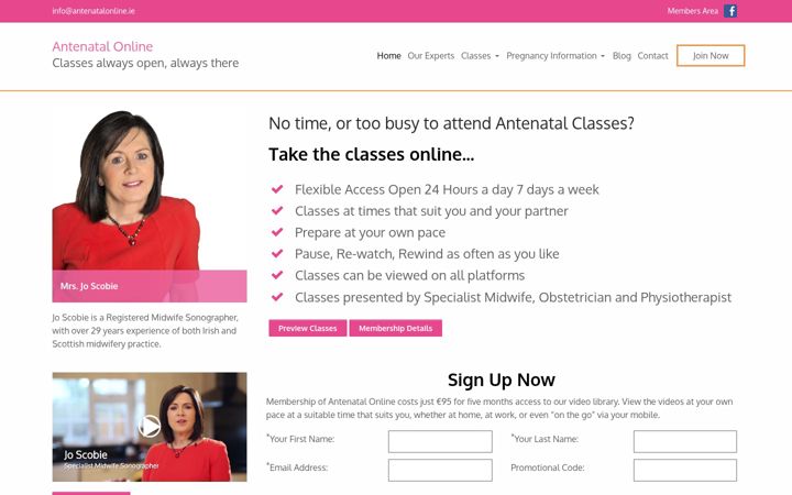 Screenshot of antenatalonline.ie