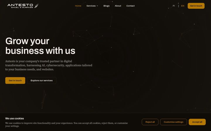 Screenshot of antesto.fi