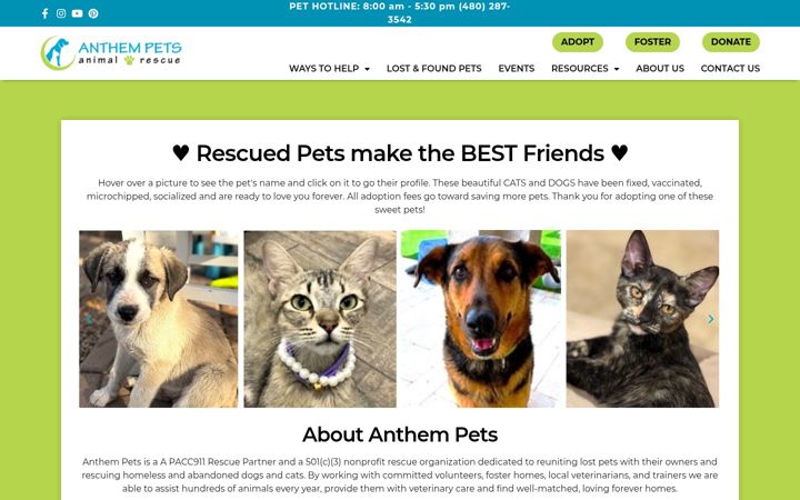 Captura de pantalla de anthempets.org
