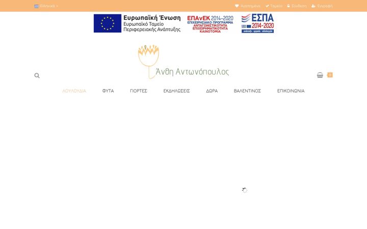 Screenshot von anthi-antonopoulos.gr
