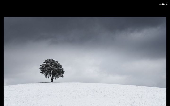 Screenshot of anthonycedelle.com