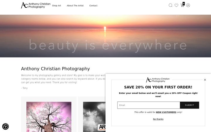 Screenshot of anthonychristian.com