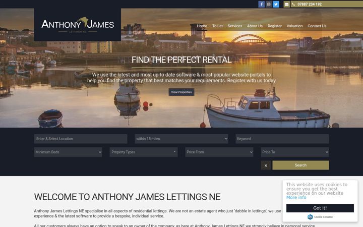 Screenshot of anthonyjameslettingsne.co.uk