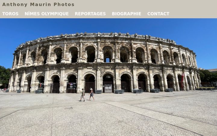 Screenshot of anthonymaurinphotos.fr