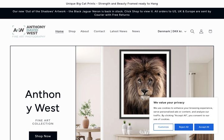 Screenshot of anthonywestfineart.com