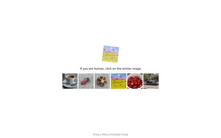 Screenshot of antibot.cloud