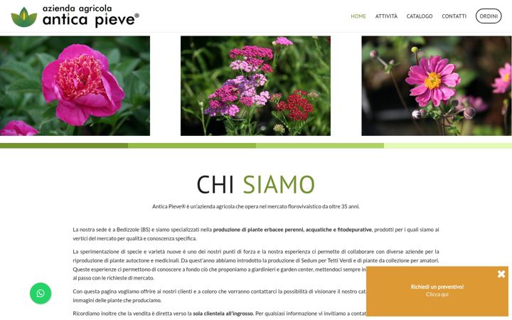 Screenshot di anticapieve.com