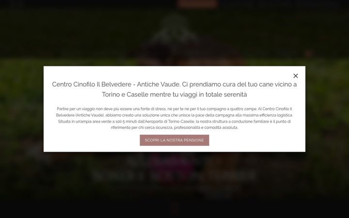 Ekrano kopija antichevaude.com