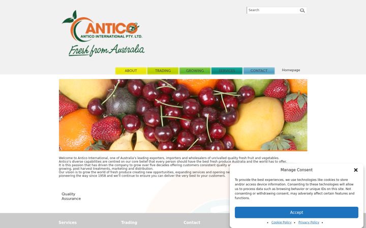 Screenshot of antico.com.au