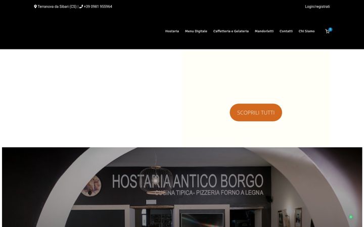 Screenshot of anticoborgo.online