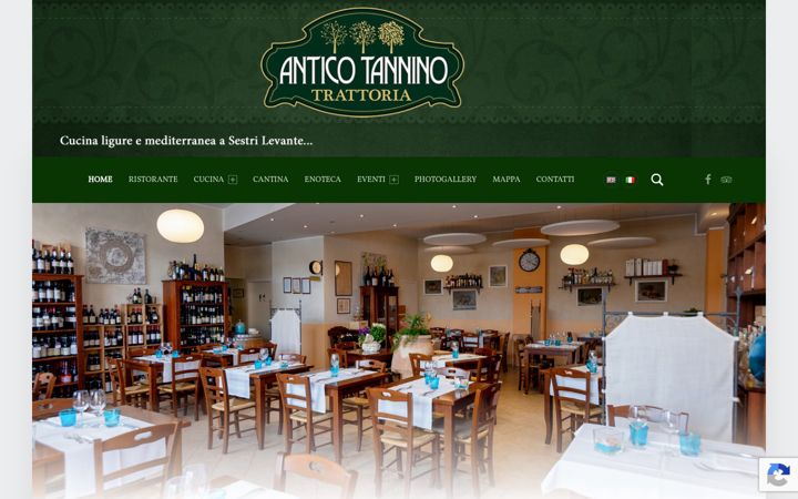 Skärmbild av anticotannino.it
