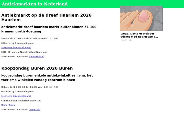 Screenshot of antiekmarkten.nl