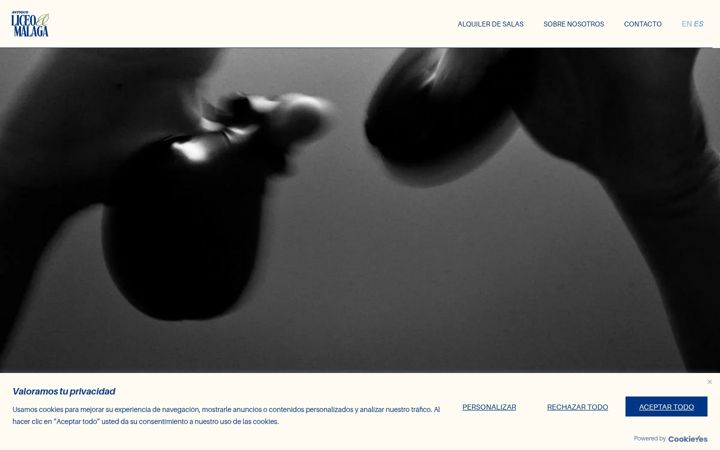 Screenshot von antiguoliceodemalaga.com