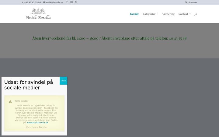 Screenshot of antikborella.dk