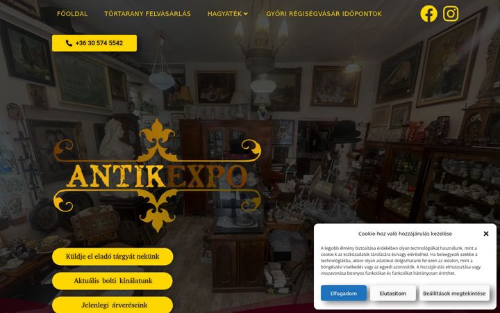 Snímek obrazovky antikexpo.hu