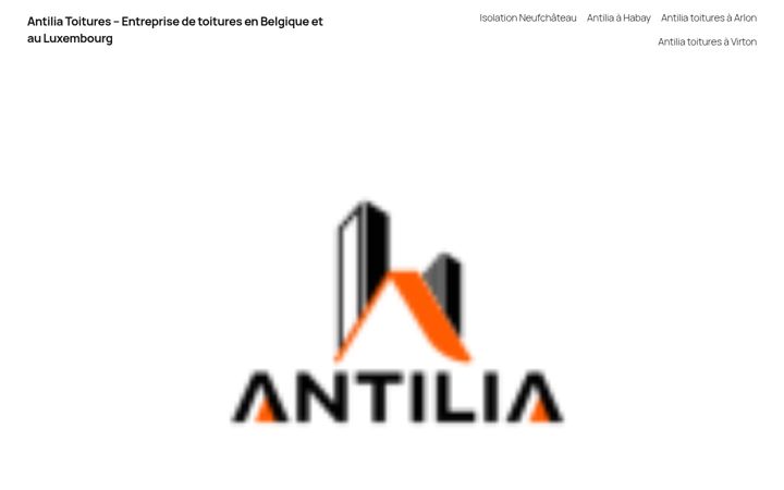 Screenshot stránky antiliaco.be