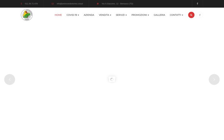 Screenshot of antincendiotorino.cloud