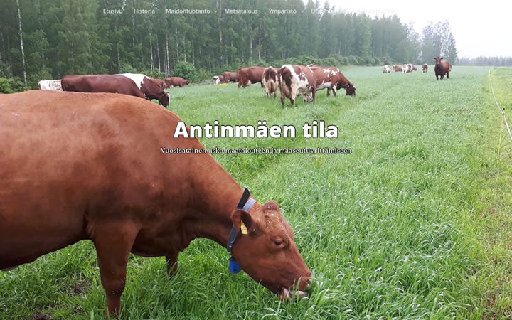 Screenshot of antinmaentila.fi