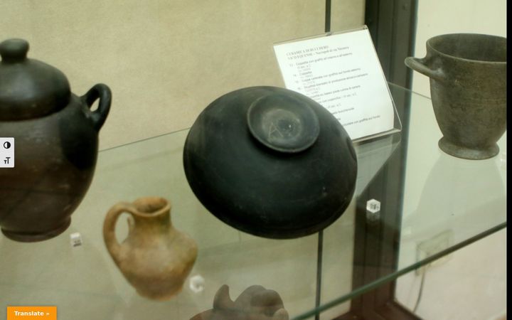 Ekrano kopija antiquariumsilioitalico.it