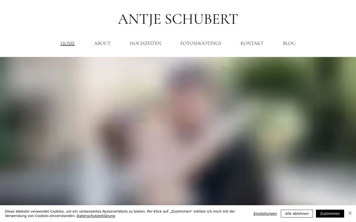 Captura de pantalla de antjeschubert.de