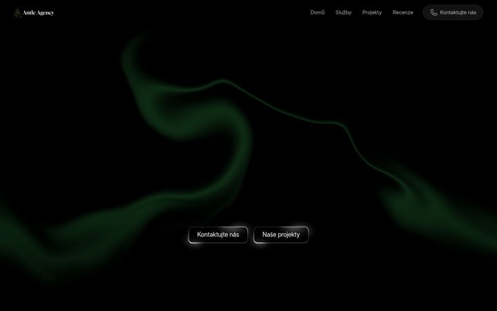 Screenshot of antleagency.cz