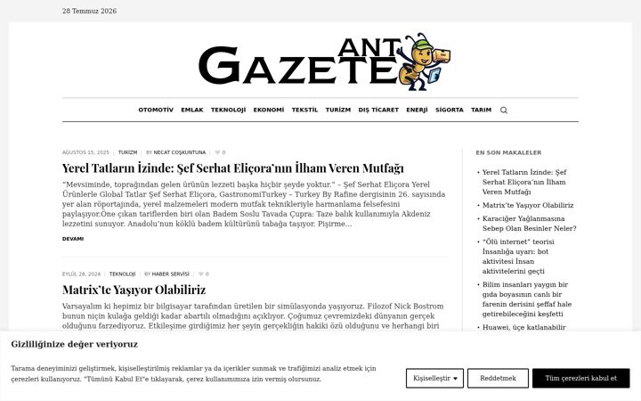 Screenshot von antltd.com