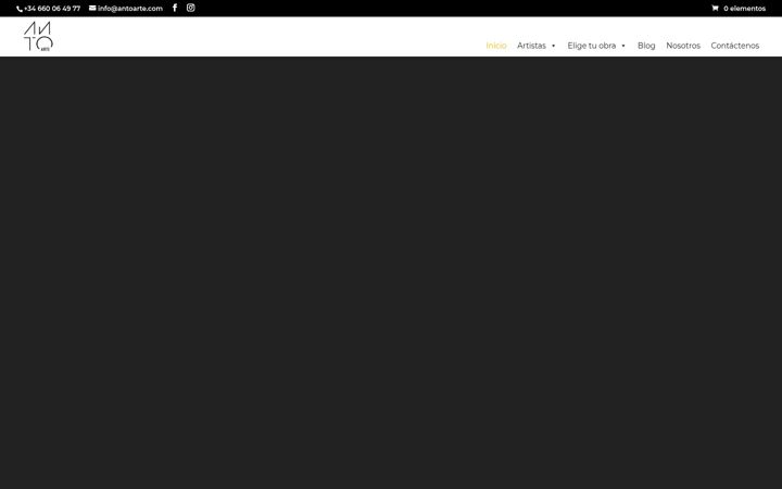 Screenshot of antoarte.com