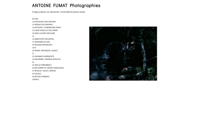 Screenshot of antoine-fumat-photographies.com
