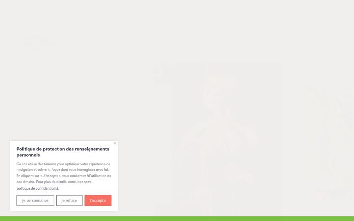 Screenshot of antoinelacombe.com