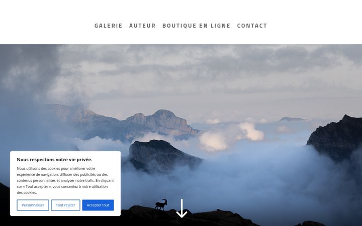 Screenshot of antoinelavorel.ch