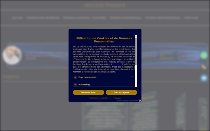 Screenshot of antoinevoyance.fr