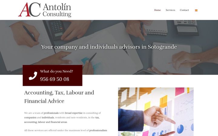Posnetek zaslona antolinconsulting.com