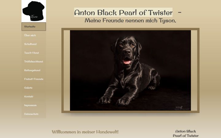 Screenshot of anton-black-pearl-of-twister.com