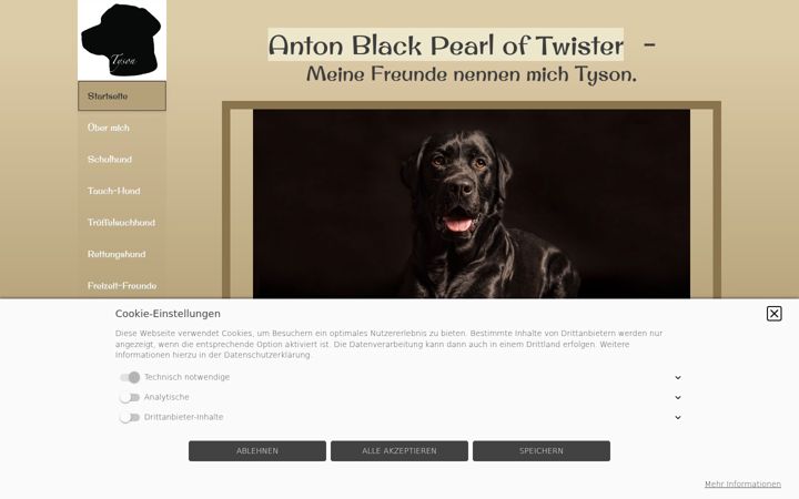 Screenshot of anton-black-pearl-of-twister.de