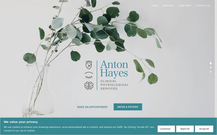 Skjermbilde av antonhayes.co.za