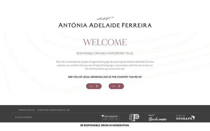 Screenshot stránky antoniaadelaideferreira.com