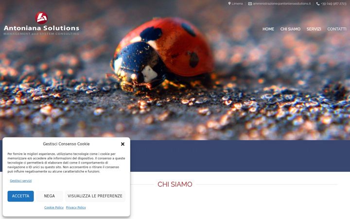 Screenshot of antonianasolutions.it