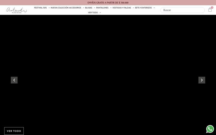 Screenshot di antonietaplus.com