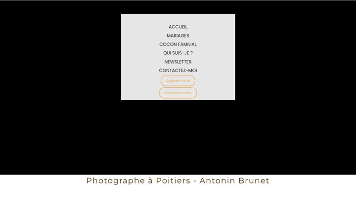 Screenshot of antoninbrunet.fr