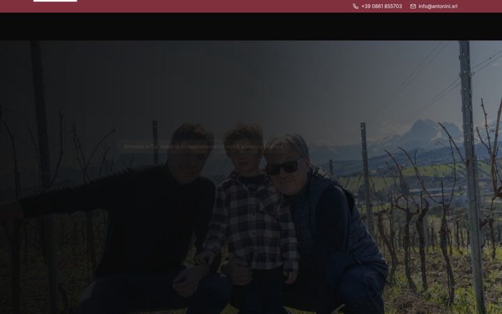 Screenshot of antonini.srl