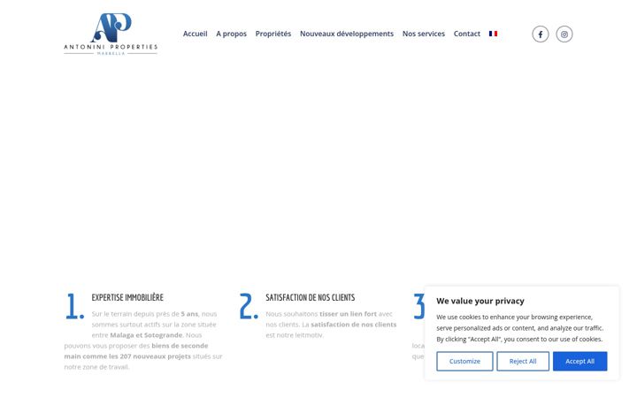 Screenshot di antoniniproperties.com